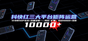 抖快红三大平台矩阵运营,12小时SOP实战+流量获取-风控-扩量,月引10000+线索-联创在线