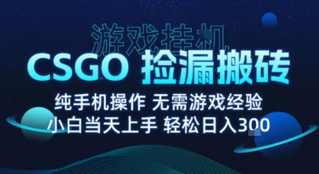 8月最新游戏搬砖，CSGO纯挂G，不需要玩游戏，实现真挂G，月入1W+【揭秘】-联创在线