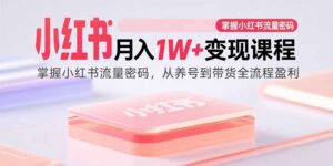 小红书月入1W+变现课程：掌握小红书流量密码，从养号到带货全流程盈利-联创在线