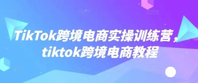 【精】TikTok跨境电商实操训练营，tiktok跨境电商教程-联创在线