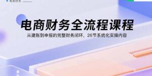 电商财务全流程课程:从建账到申报的完整财务闭环,26节系统化实操内容-联创在线
