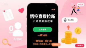 悟空直搜拉新小红书实操教学，一单10米，低门槛，0粉丝小白也能日入多张-联创在线
