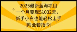 2025最新蓝海项目一个月变现1w+新手小白也能轻松上手【附全套指令】-联创在线