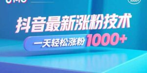抖音最新涨粉技术，一天轻松涨粉1000+-联创在线