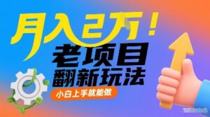 月入2W！老项目翻新玩法，小白上手就能做，非常容易上手-联创在线