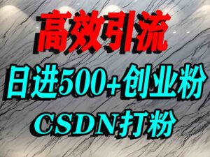 怎么打创业粉？CSDN又一个你不知道的打粉引流神秘平台，单人日引500+精准流量-联创在线