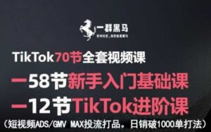TikTok全套视频课，新手入门+进阶课，短视频ADS-GMV MAX投流打品，日销破1000单打法-联创在线