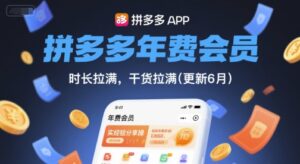 拼多多年费会员,实经验分享操,时长拉满,干货拉满(更新9月)-联创在线