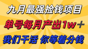 九月最强捡钱项目！ 支付宝分成代运营，我们干活，你分钱！单号月产1w+-联创在线