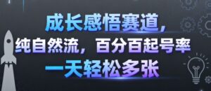 成长感悟赛道，纯自然流，百分百起号率 一天轻松多张-联创在线
