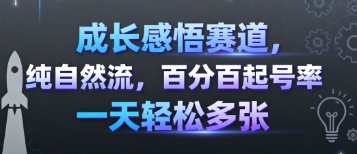 成长感悟赛道，纯自然流，百分百起号率 一天轻松多张-联创在线