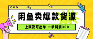 闲鱼卖爆款货源，每天利润1000，上架即出单-联创在线