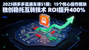 2025拼多多直通车课51期：15个核心操作模块 独创稳托互转技术 ROI提升400%-联创在线