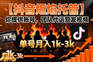 【抖音炬焰托管】你提供账号，团队代运营发视频，单号月入1k+【揭秘】-联创在线