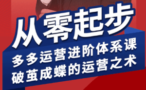 海神·拼多多运营进阶系统课(更新9月)-联创在线