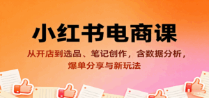 小红书电商课：从开店到选品、笔记创作，含数据分析，爆单分享与新玩法-联创在线