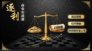 《逐 利》商业实战课，底层逻辑、杠杆策略、18锦囊，跨周期财富心法-联创在线