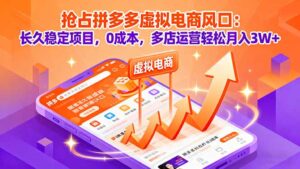 抢占拼多多虚拟电商风口：长久稳定项目，0成本，多店运营轻松月入3W+-联创在线