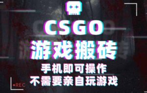 CSGO游戏挂机捡漏,单日扫货500+,年底小高峰上车可吃肉,手机即可操作…-联创在线