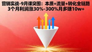 营销实战-9月突围课:本质+流量+转化全链路 3个月利润涨30%-300%月多赚10w+-联创在线