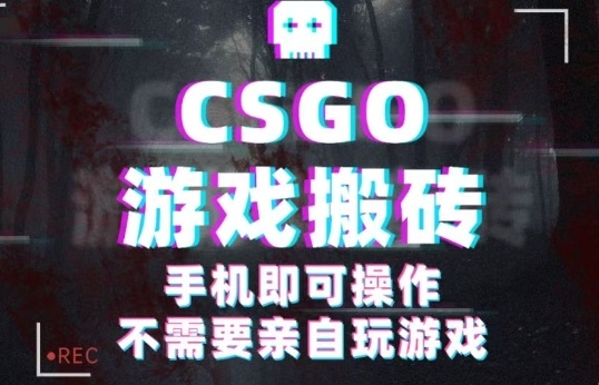 CSGO游戏挂G捡漏，单日扫货5张+，年底小高峰上车可吃肉，手机即可操作，兼职副业创业网创【揭秘】-联创在线