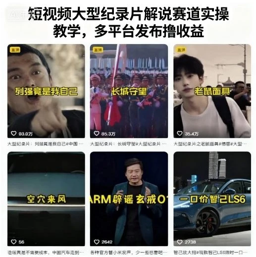 【精】短视频大型纪录片解说赛道实操教学，多平台发布撸收益-联创在线