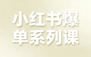 尼采老师·小红书爆单系列课-联创在线