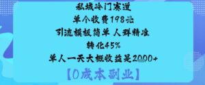 私域冷门赛道:单个收费198米引流模板简单人群精准转化45%单人一天大概收益是1k+-联创在线