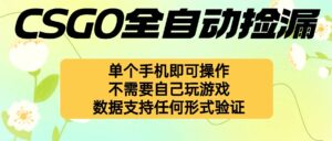 自动挂机捡漏，不用自己挂机不用玩游戏，一个手机即可操作。新手小白轻…-联创在线