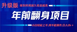 项目讲解年入百万：小白轻松上手，纯手机操作.日入2k+-联创在线