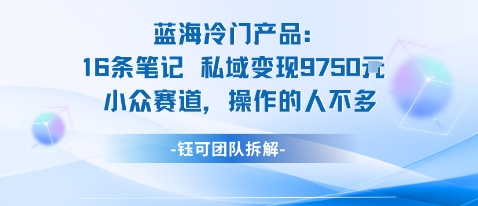 蓝海项目：16条笔记私域变现9750米小众赛道操作的人不多-联创在线