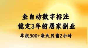 全自动数字标注,稳定3年的蓝海项目,居家也能矩阵开干的副业,单机日入3张+【揭秘】-联创在线