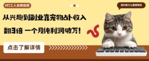 从兴趣到副业靠宠物占卜收入翻3倍一个月纯利润破W-联创在线