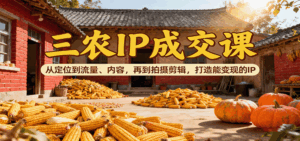 三农IP成交课：从定位到流量、内容，再到拍摄剪辑，打造能变现的IP-联创在线