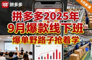 【精】拼多多2025年9月爆款线下班,爆单野路子抢着学-联创在线