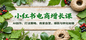 小红书电商增长课：AI创作、打法策略、商家自营，爆款与转化秘籍-联创在线