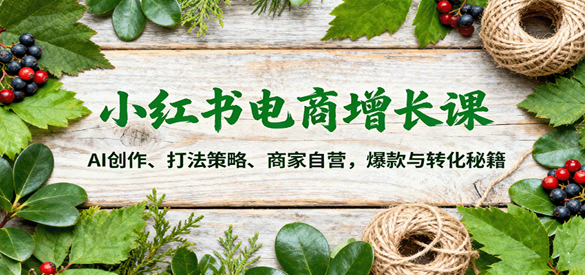 小红书电商增长课:AI创作、打法策略、商家自营,爆款与转化秘籍-联创在线
