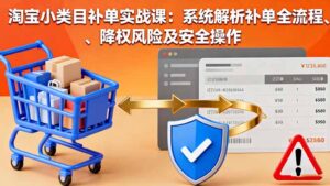 淘宝小类目补单实战课：系统解析补单全流程、降权风险及安全操作-联创在线