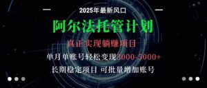 阿尔法托管计划 单账号月入3000-5000,长期稳定项目,新手小白轻松上手-联创在线