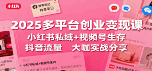 2025多平台创业变现课:小红书私域+视频号生存+抖音流量,大咖实战分享-联创在线