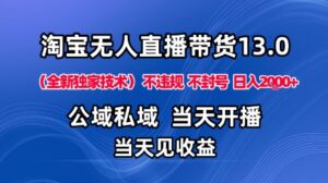 淘宝无人直播13.0，公域私域技术，不封号，不违规布局下半年旺季赛道，日入1K+(独家技术)【揭秘】-联创在线